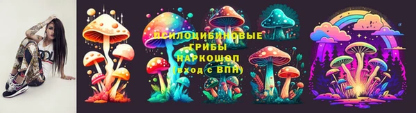гидропоника Медногорск