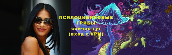 гидропоника Медногорск